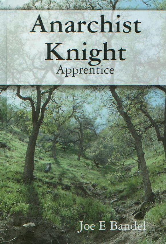 Anarchist Knight: Apprentice