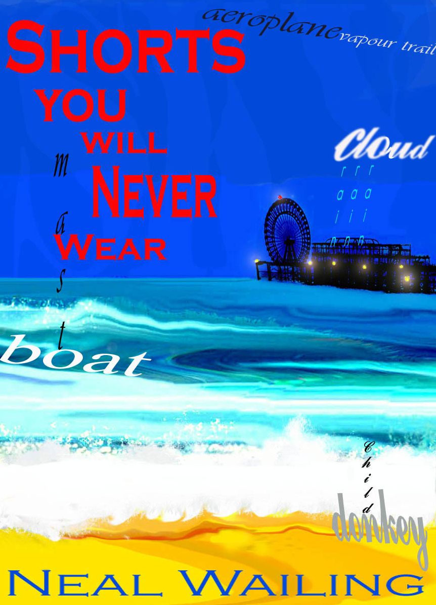 Shorts You Will Never Wear