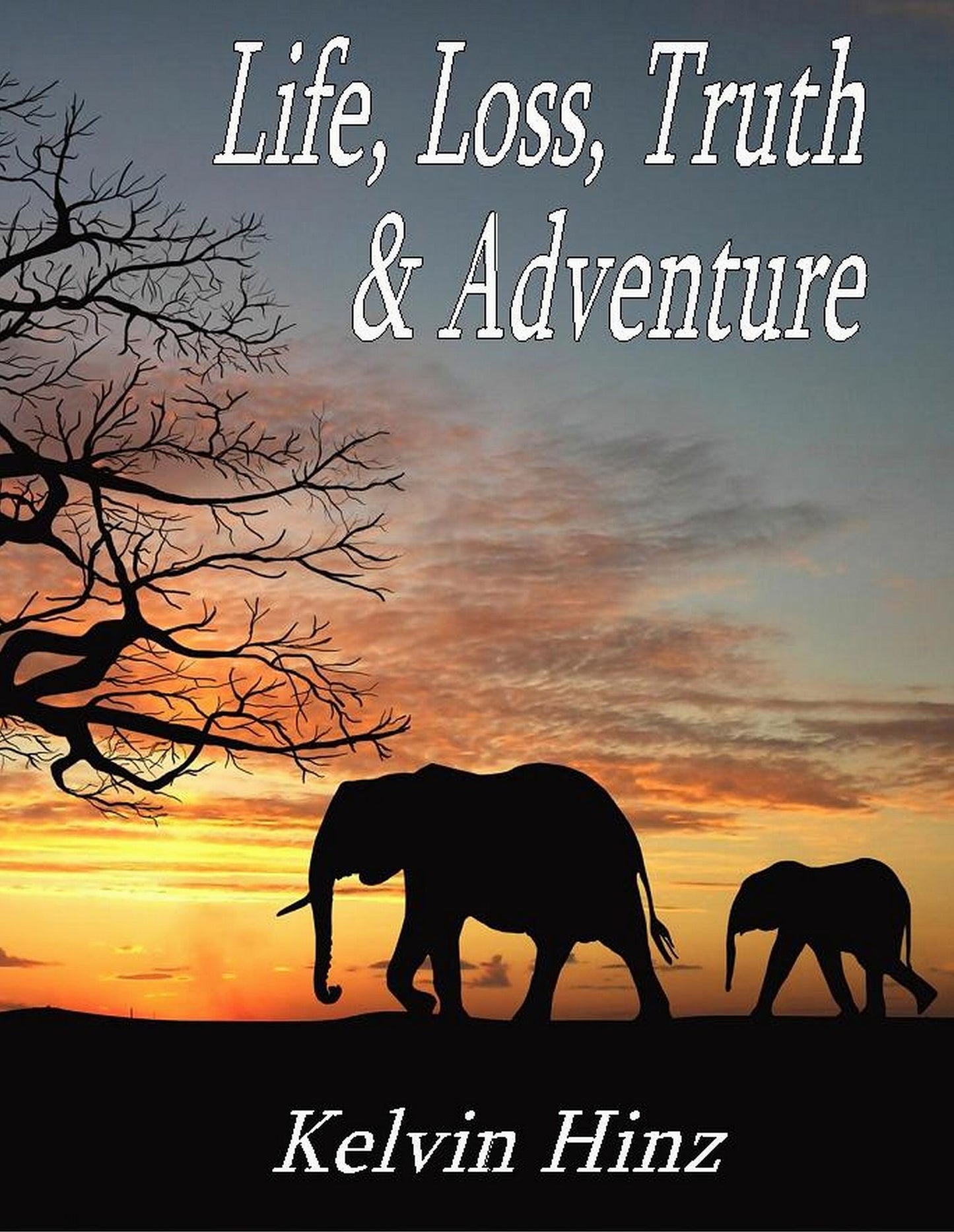 Life, Loss, Truth & Adventure