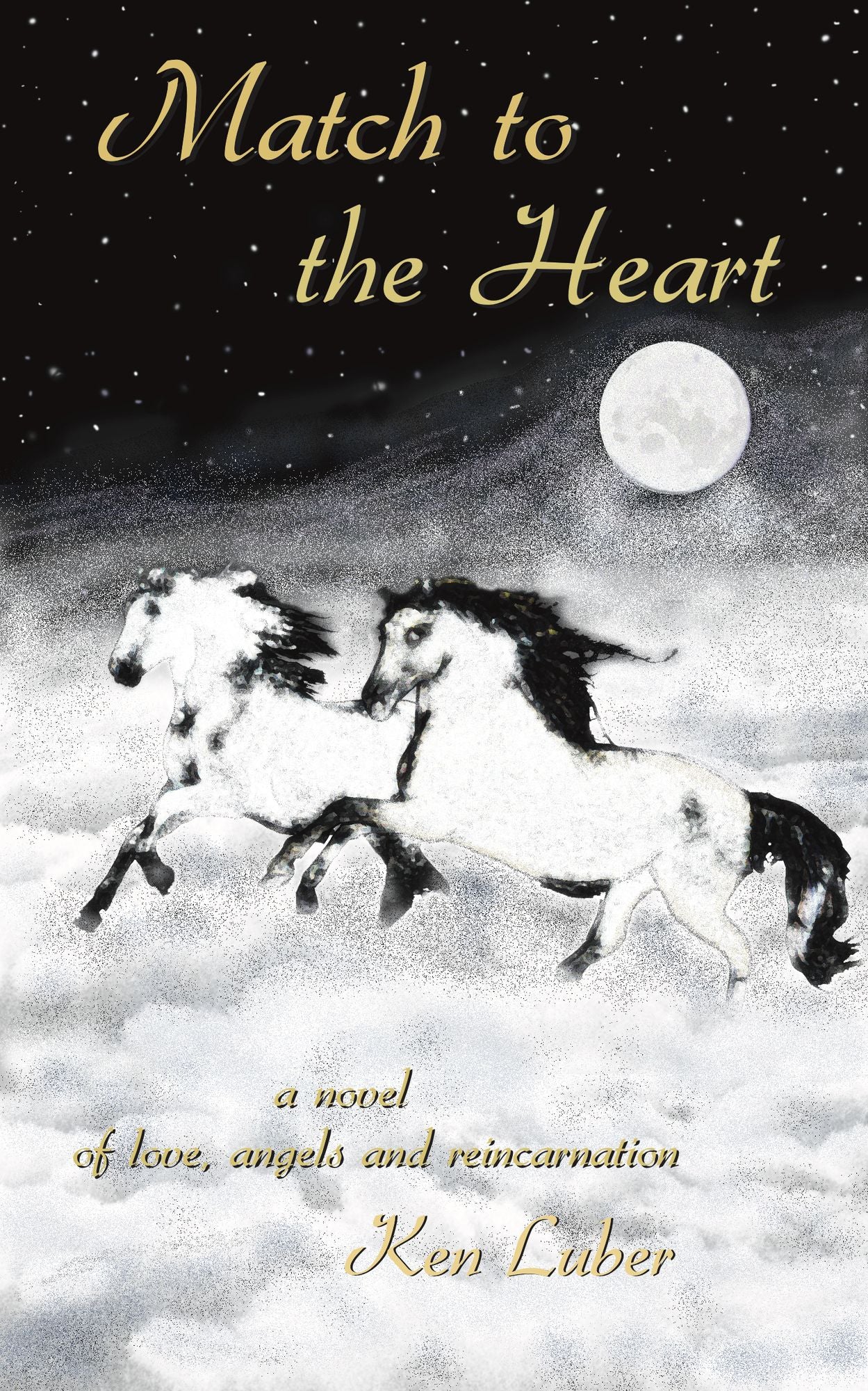 Match to the Heart: A Novel of Love, Angels and Reincarnation