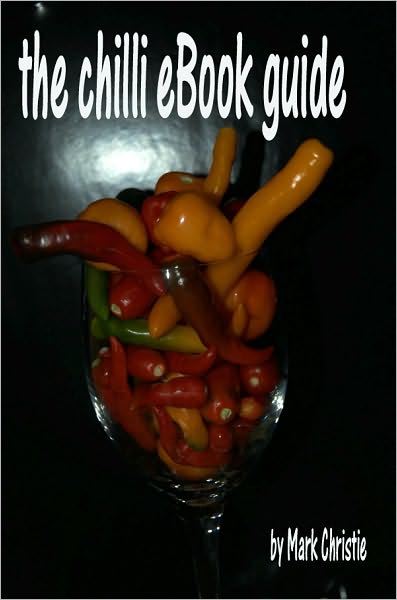 My Smashwords Template and chilli recipe