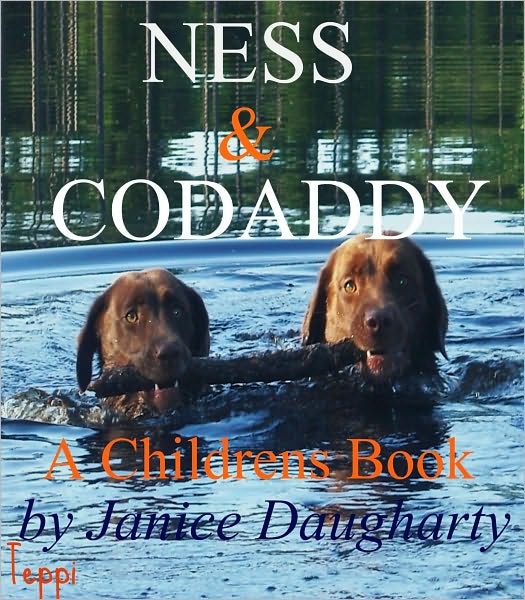 Ness and Codaddy--children's rhyming book