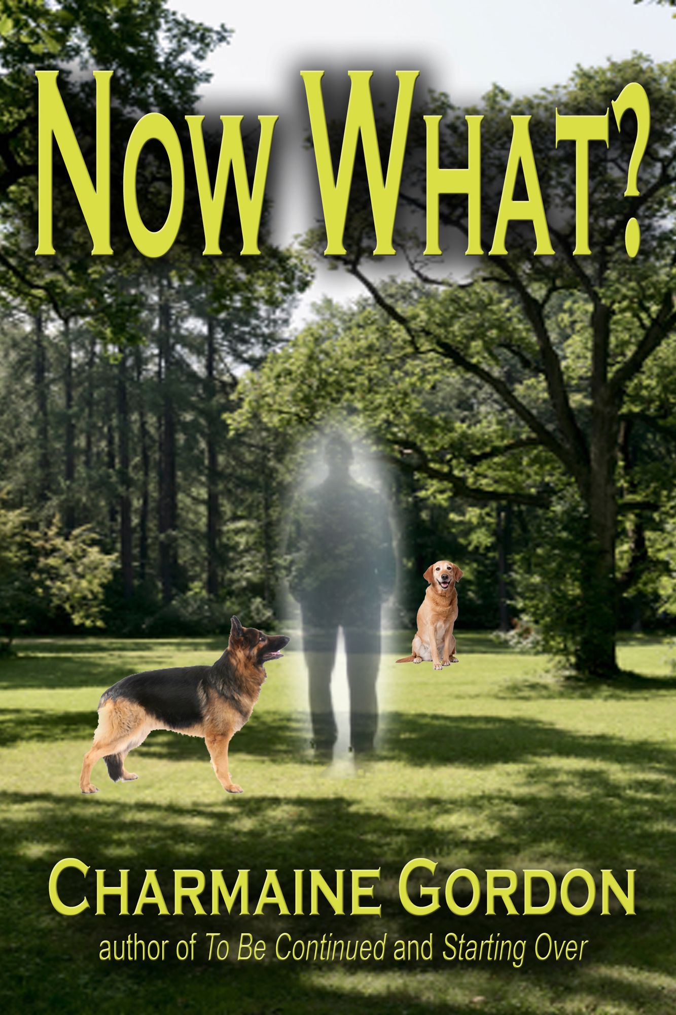 Now What?