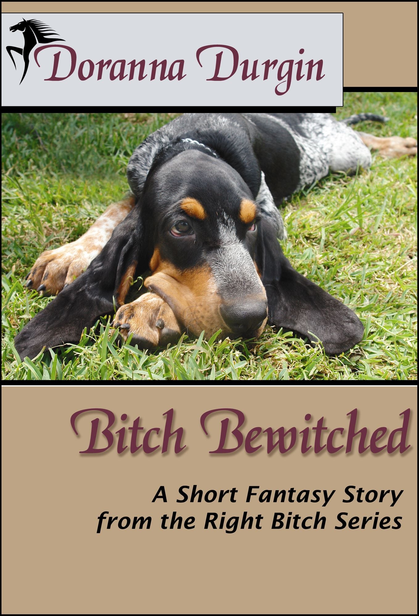 Bitch Bewitched (The Right Bitch Series #3)