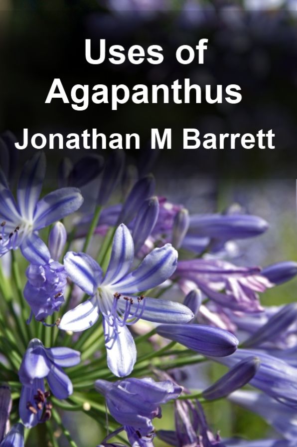 Uses of Agapanthus