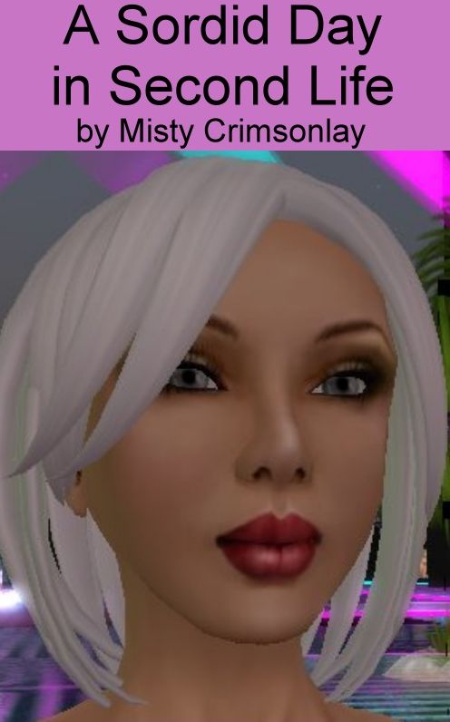 A Sordid Day in Second Life