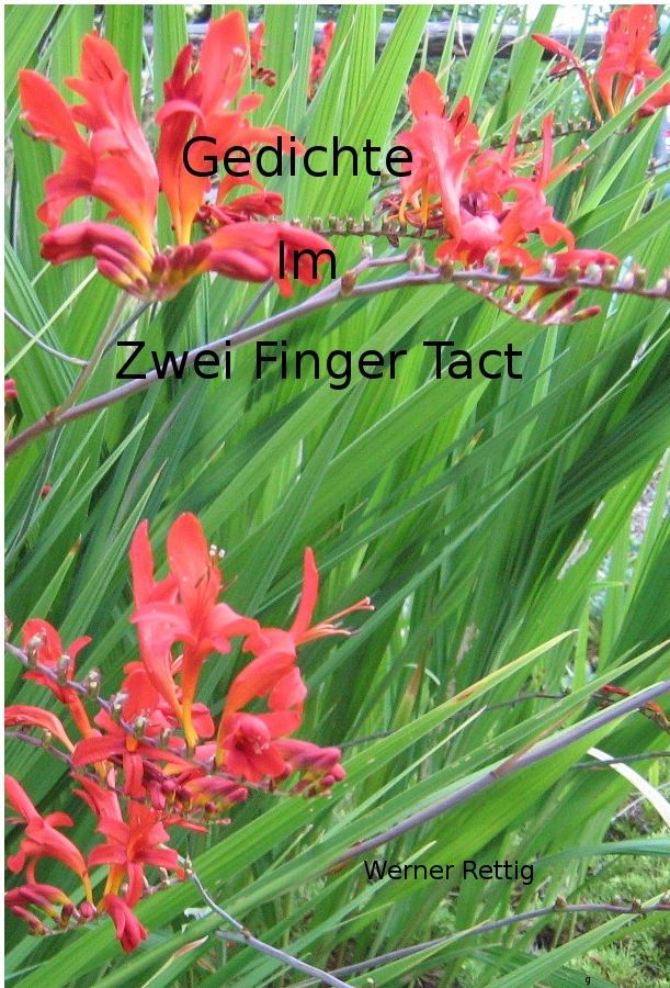 Gedichte im zwei Finger Tact