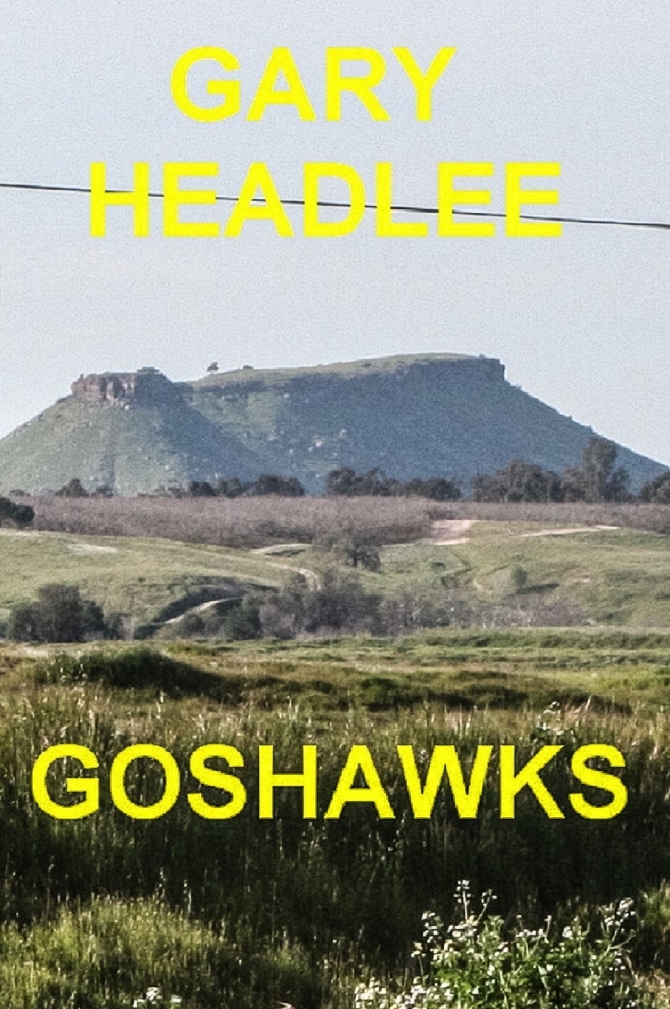 Goshawks
