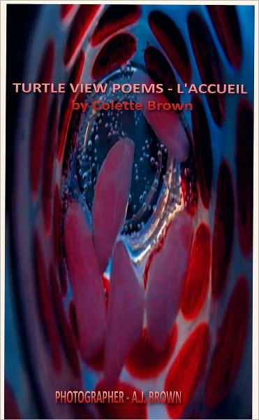 Turtle View Poems: L