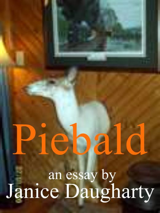 Piebald