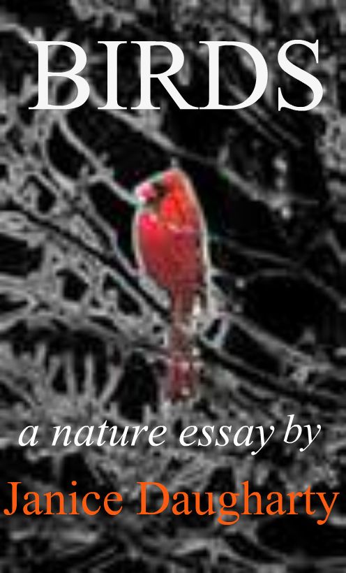 Birds in Migration: a descriptive nature essay