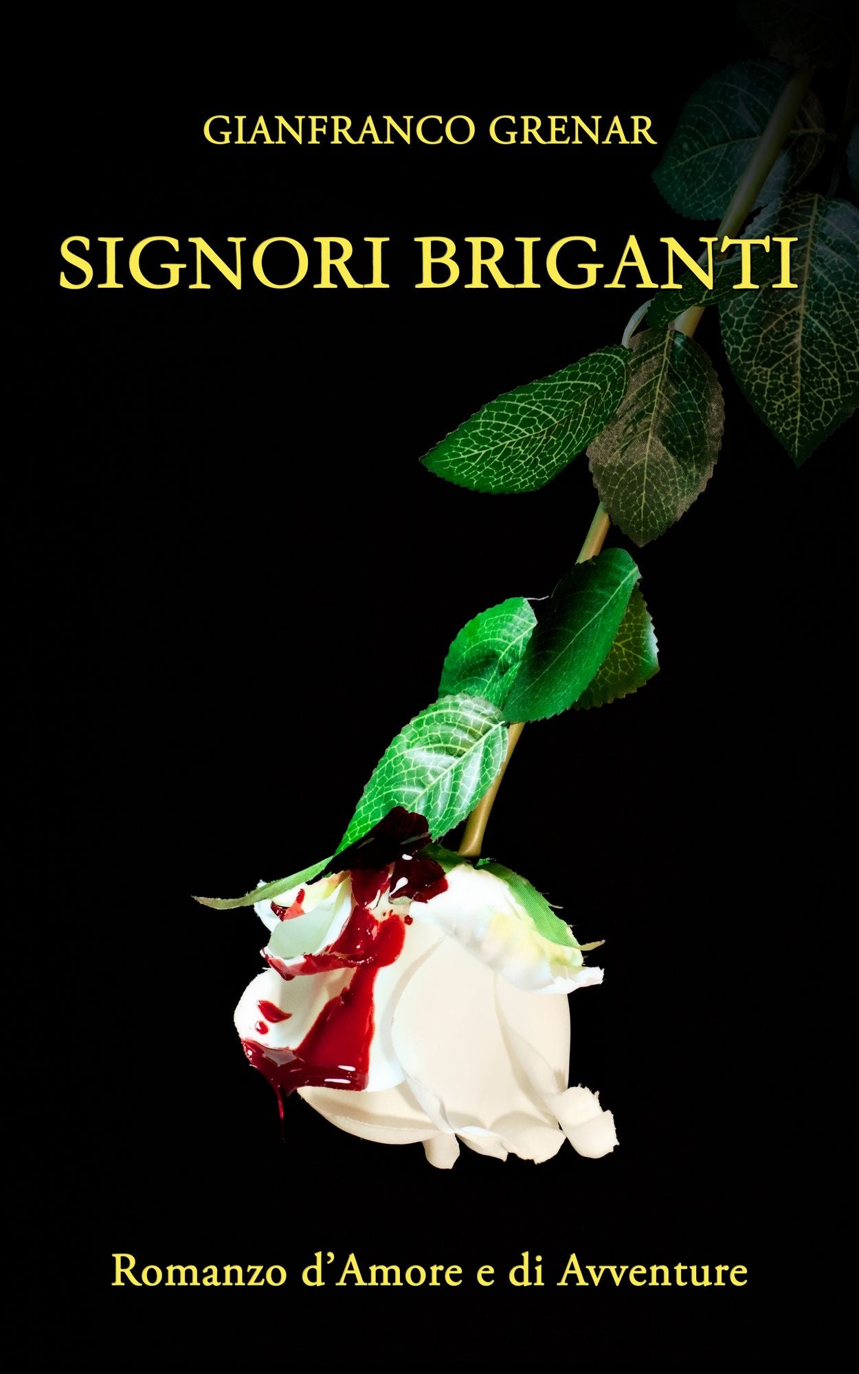 Signori Briganti: romanzo di amore e di avventure