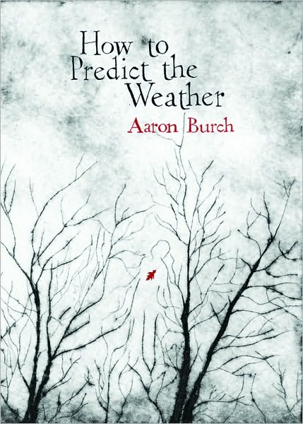 How to Predict the Weather