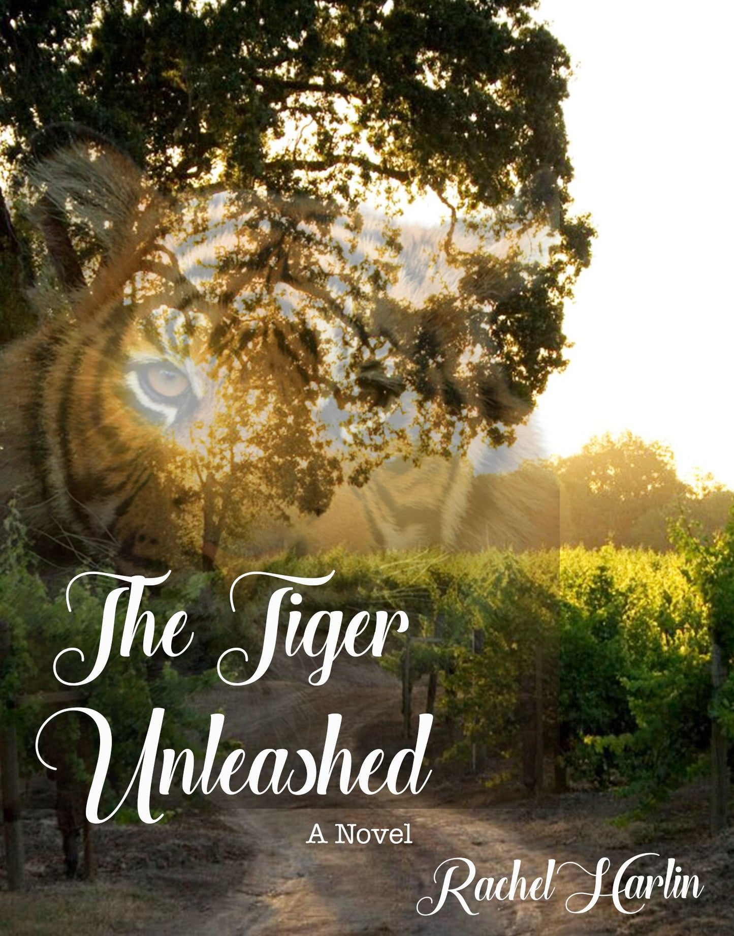 The Tiger, Unleashed