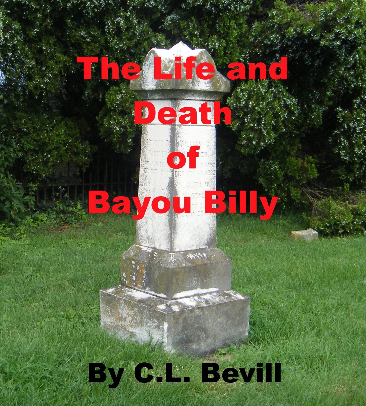 The Life and Death of Bayou Billy