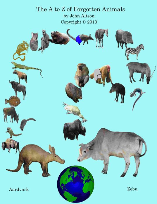 The A to Z of Forgotten Animals