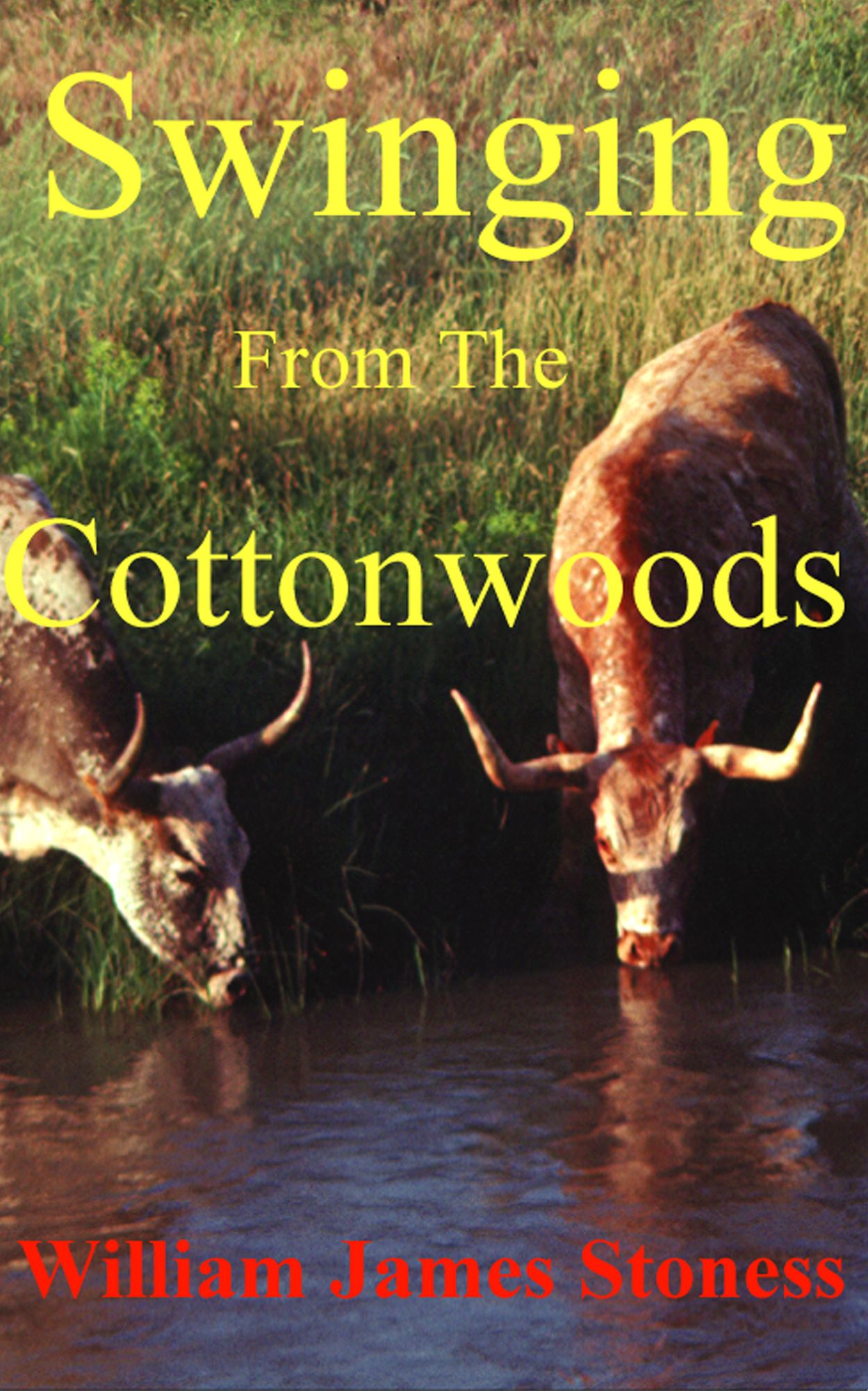 Swinging From the Cottonwoods
