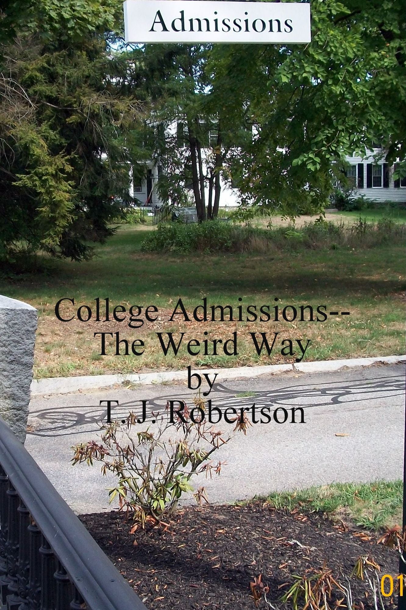 College Admissions--The Weird Way