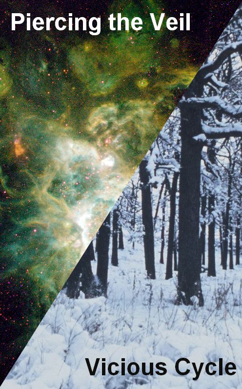 Vicious Cycle / Piercing the Veil