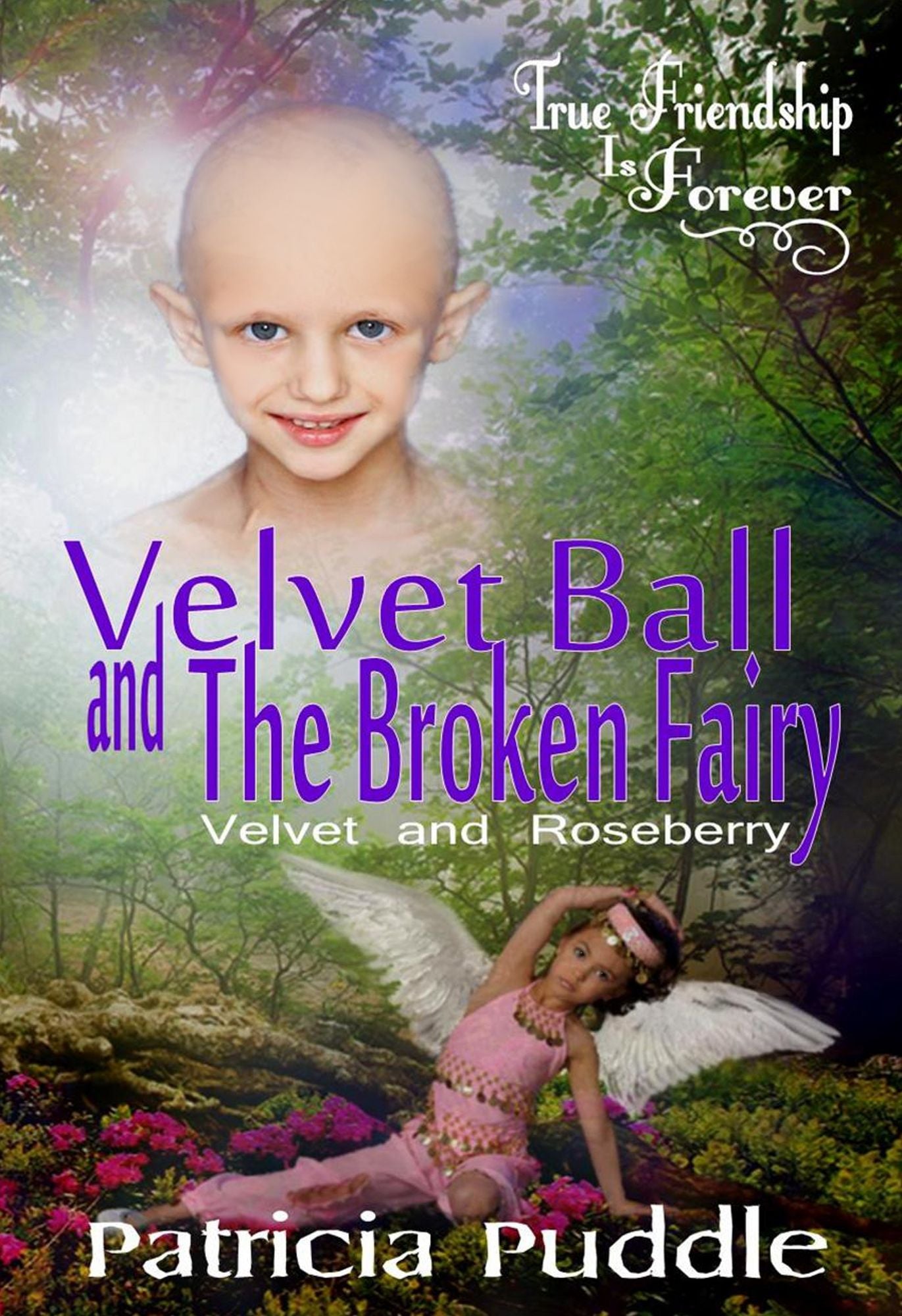 Velvet Ball and the Broken Fairy