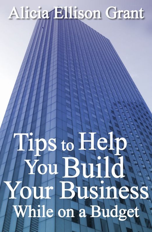 Tips to Help You Build Your Business While On A Budget