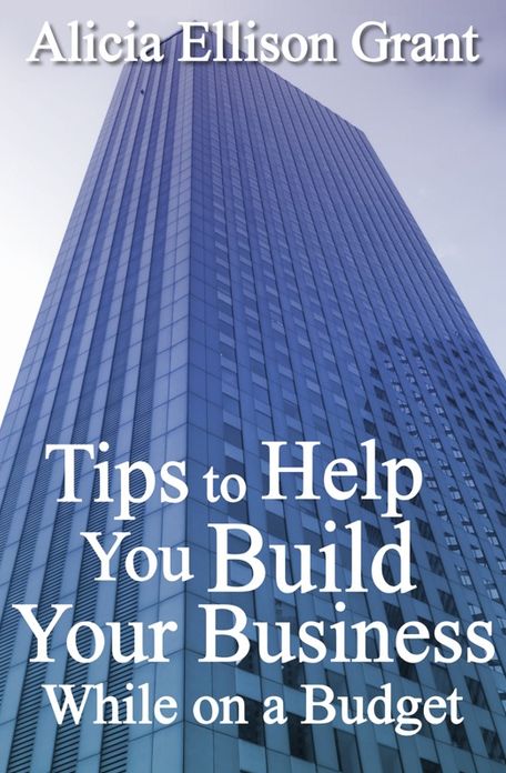 Tips to Help You Build Your Business While On A Budget