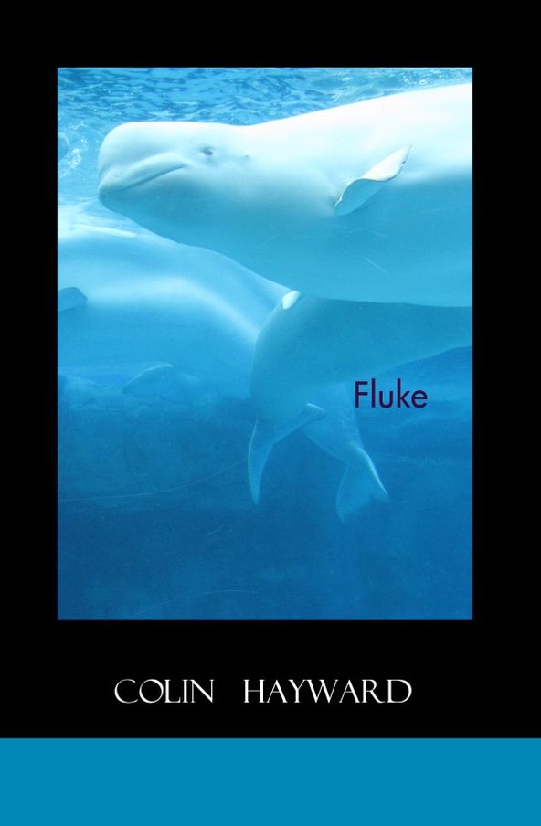 Fluke
