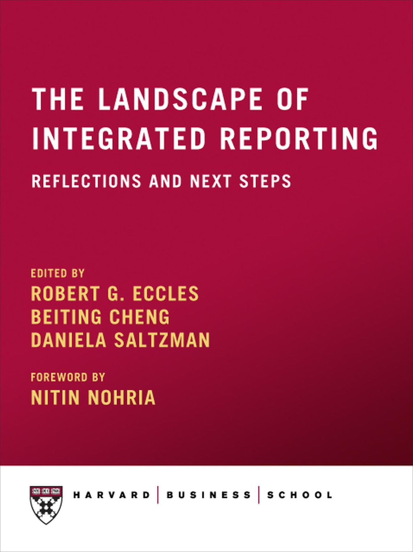 The Landscape of Integrated Reporting: Reflections and Next Steps