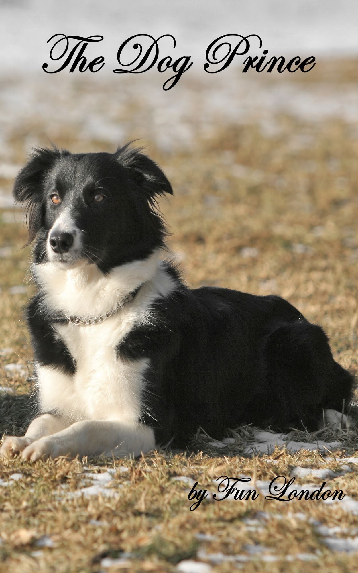 The Dog Prince