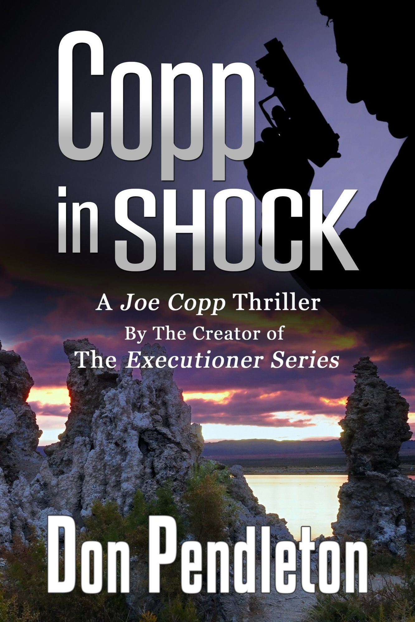 Copp in Shock (Joe Copp Series #6)