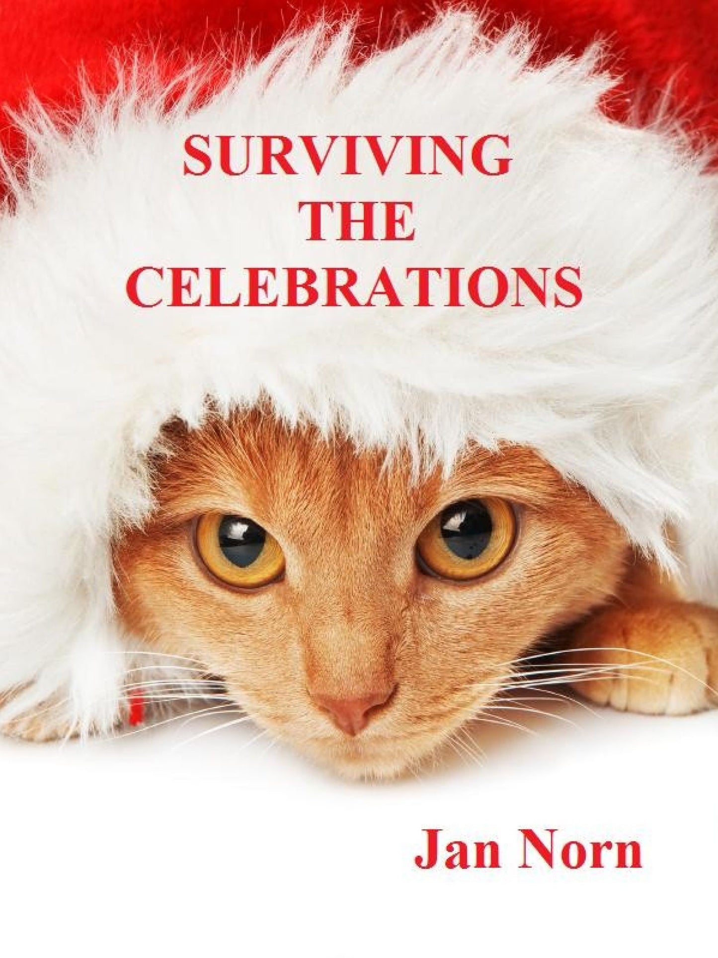 Surviving the Celebrations