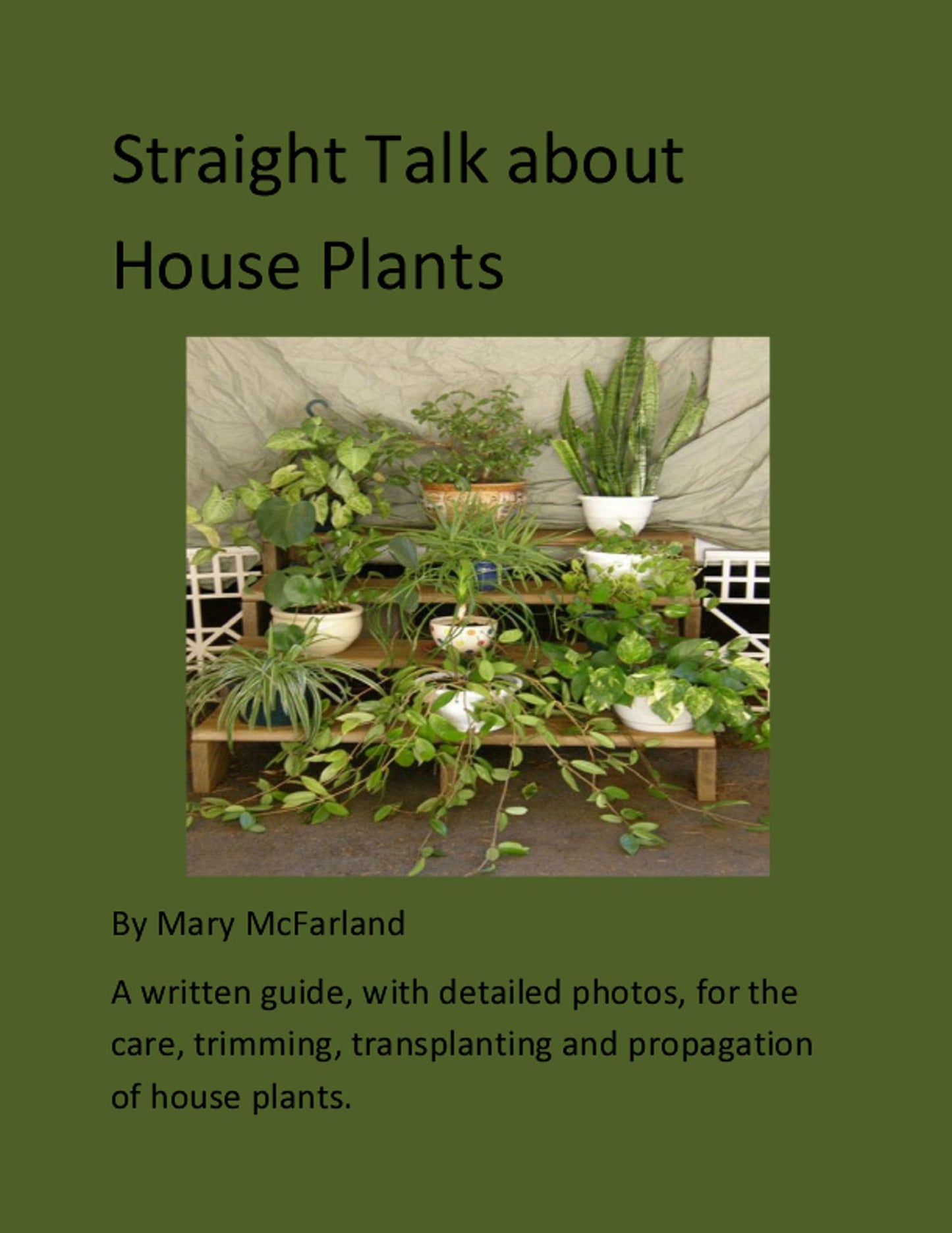 Straight Talk about House Plants