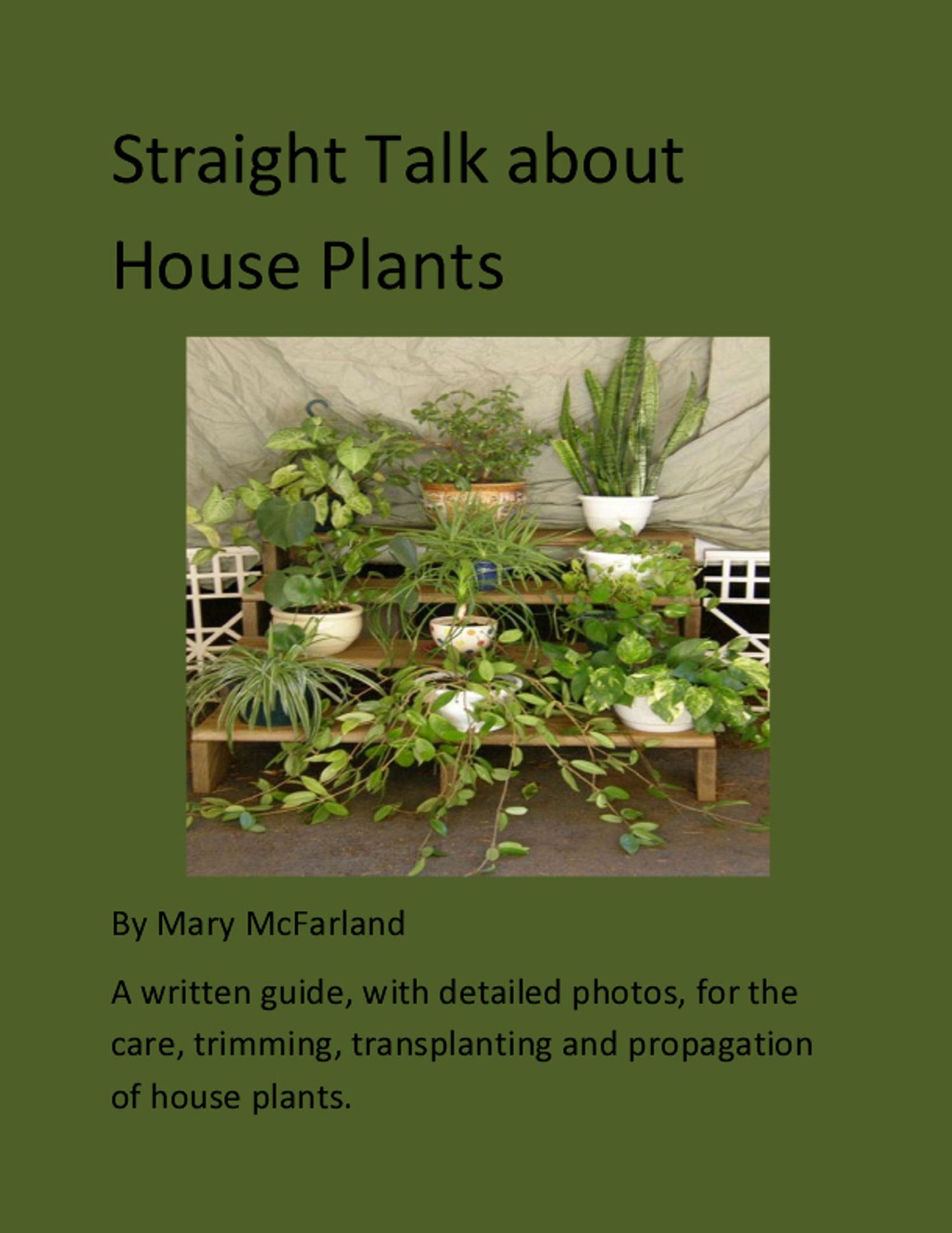 Straight Talk about House Plants