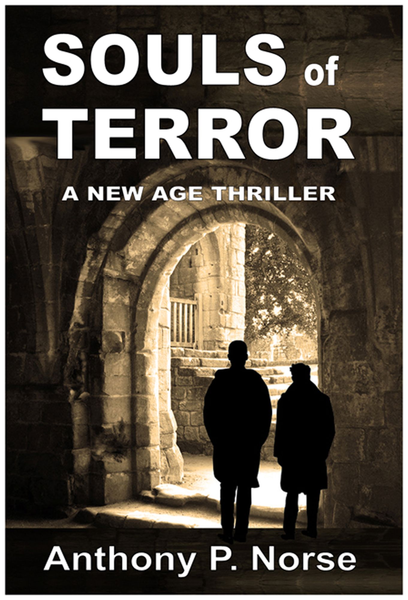 Souls of Terror: A New Age Thriller