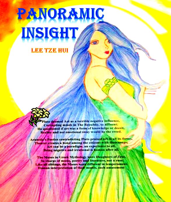Panoramic Insight