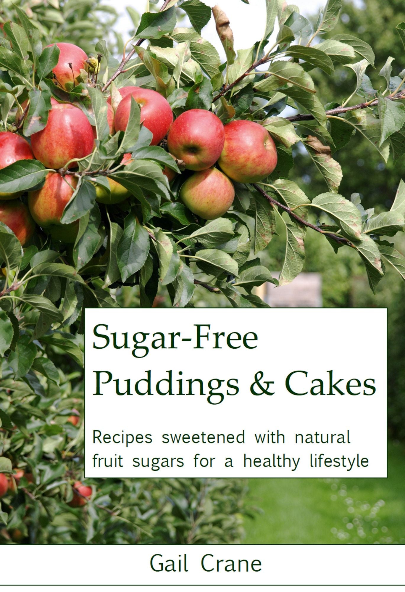 Sugar-Free Puddings & Cakes