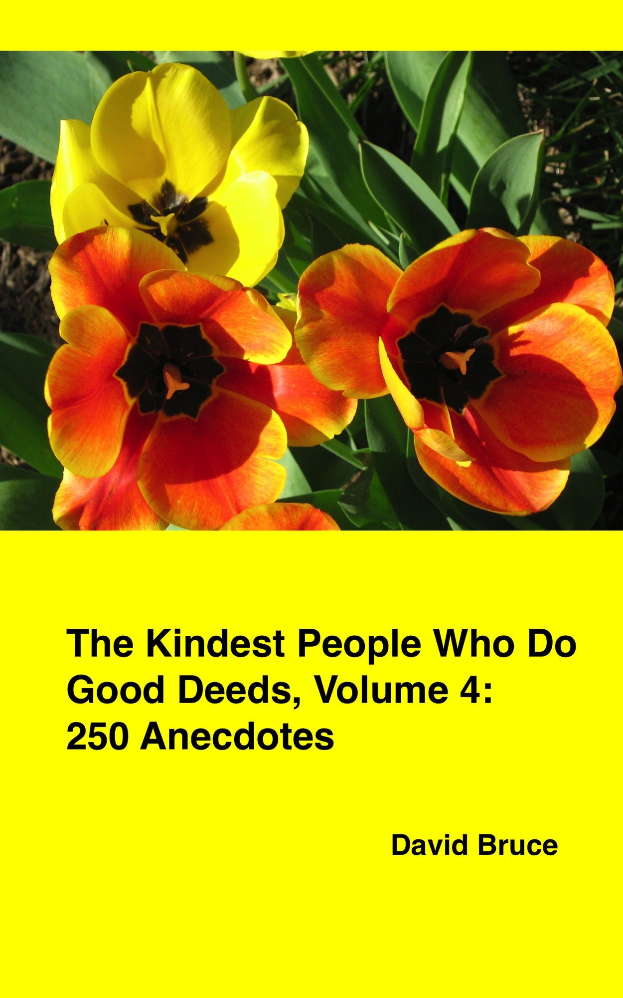 The Kindest People Who Do Good Deeds, Volume 4: 250 Anecdotes
