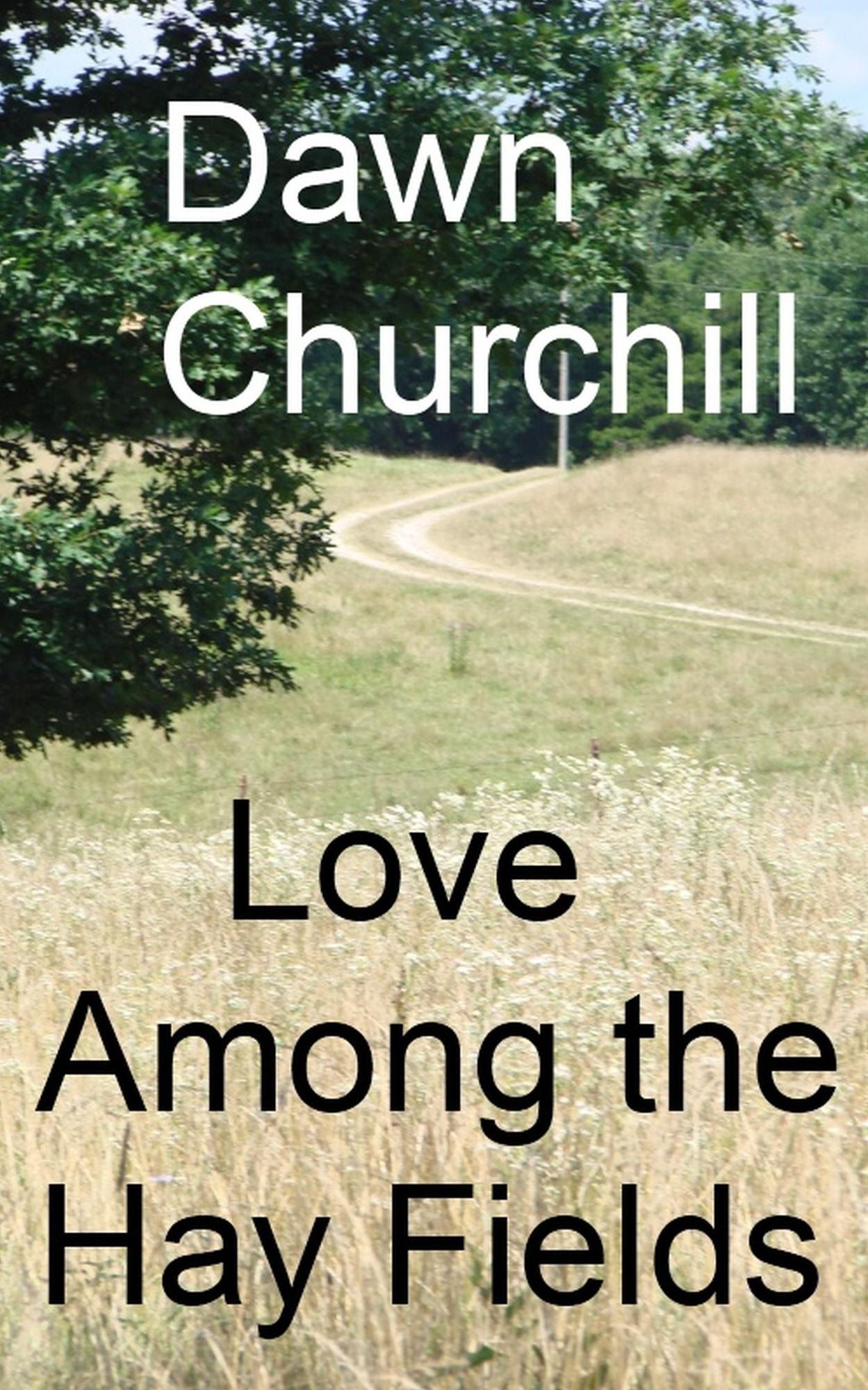 Love Among the Hay Fields