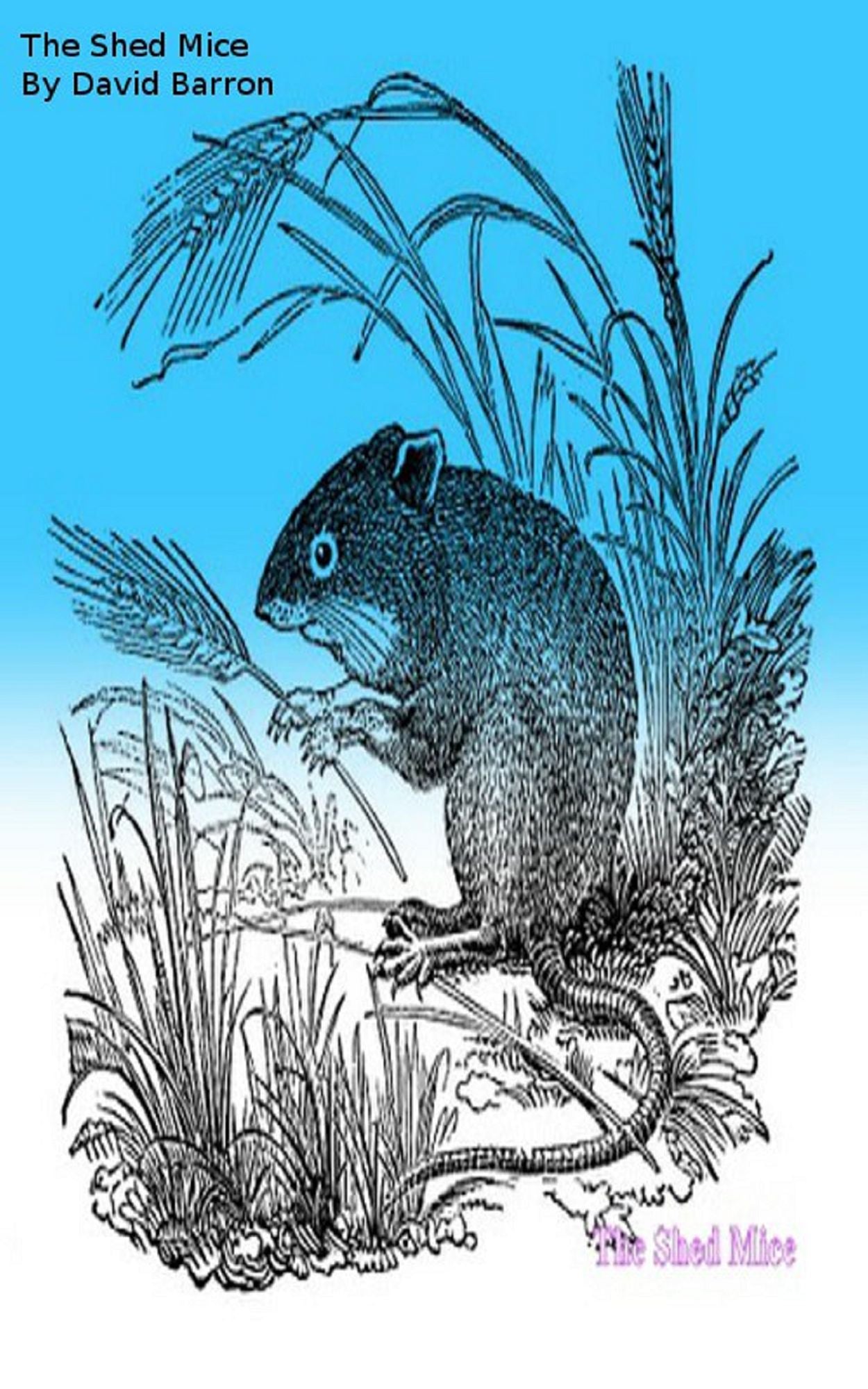 The Shed Mice