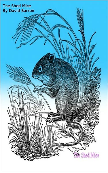 The Shed Mice