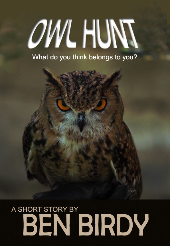 Owl Hunt