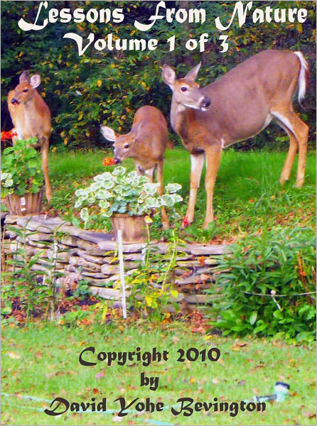 Lessons in Nature, Volume 1 of 3