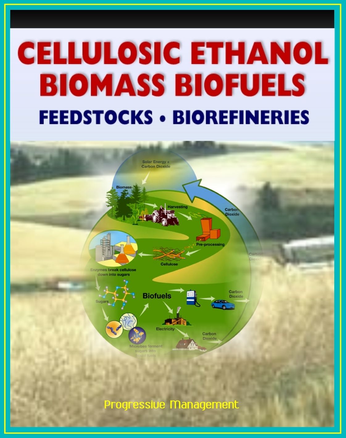 21st Century Cellulosic Ethanol, Biomass, and Biofuels: Wood Chips, Stalks, Switchgrass, Plant Products, Feedstocks, Cellulose Conversion Processes, Research Plans