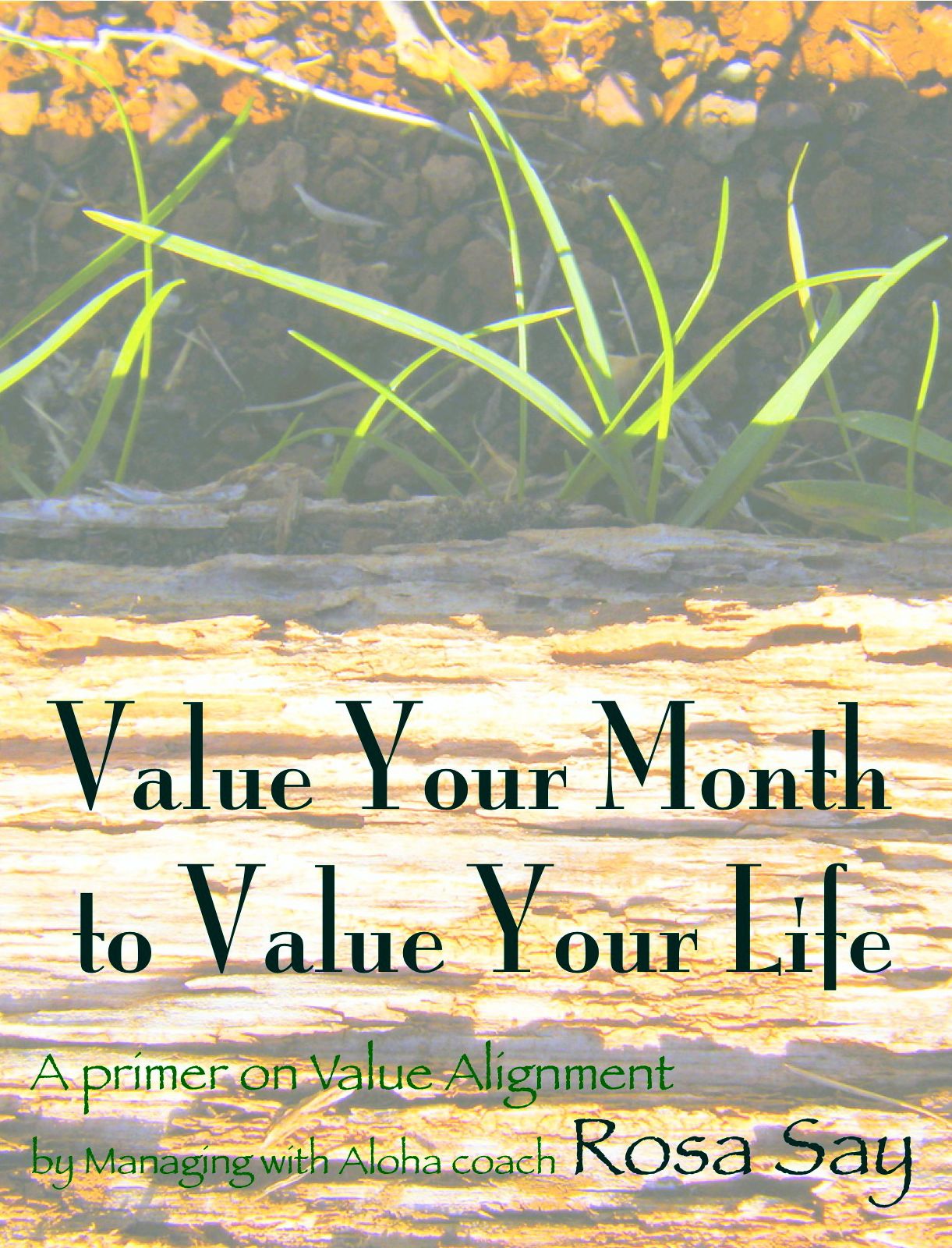 Value Your Month to Value Your Life