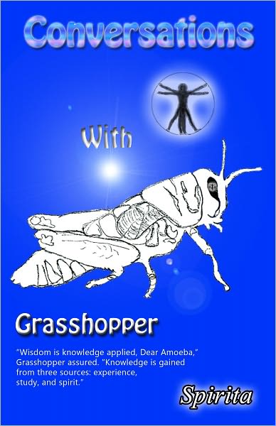 Conversations With Grasshopper
