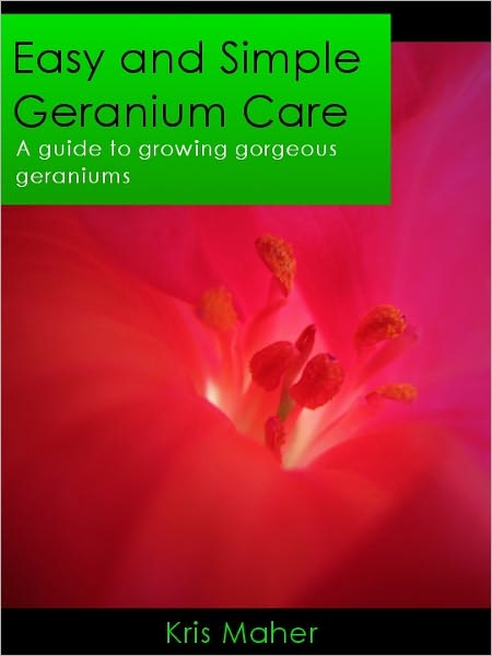 Easy and Simple Geranium Care: A Guide to Growing Gorgeous Geraniums