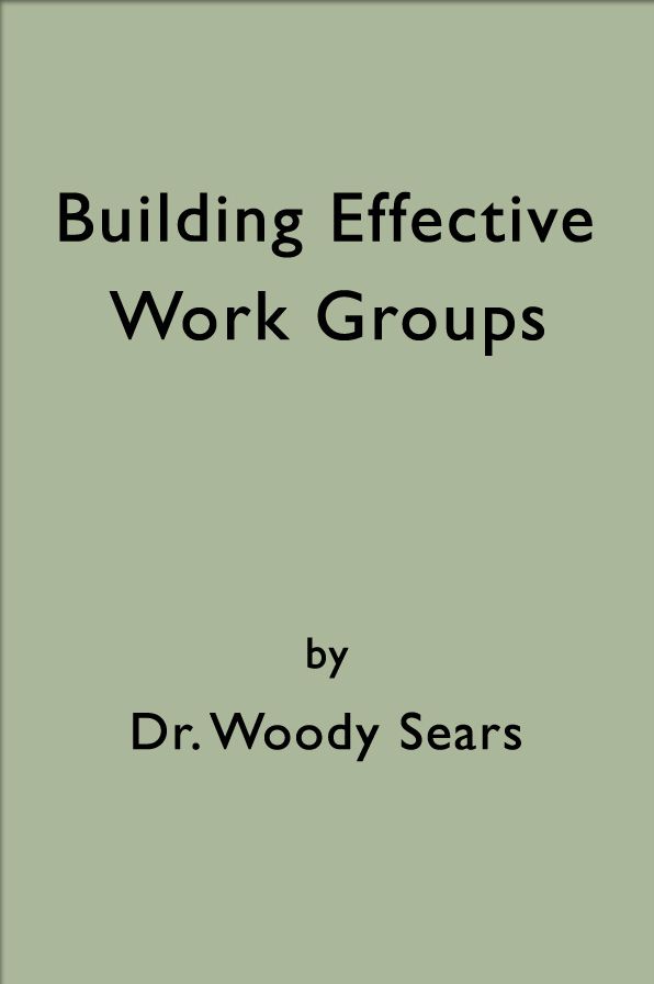 Building Effective Work Groups