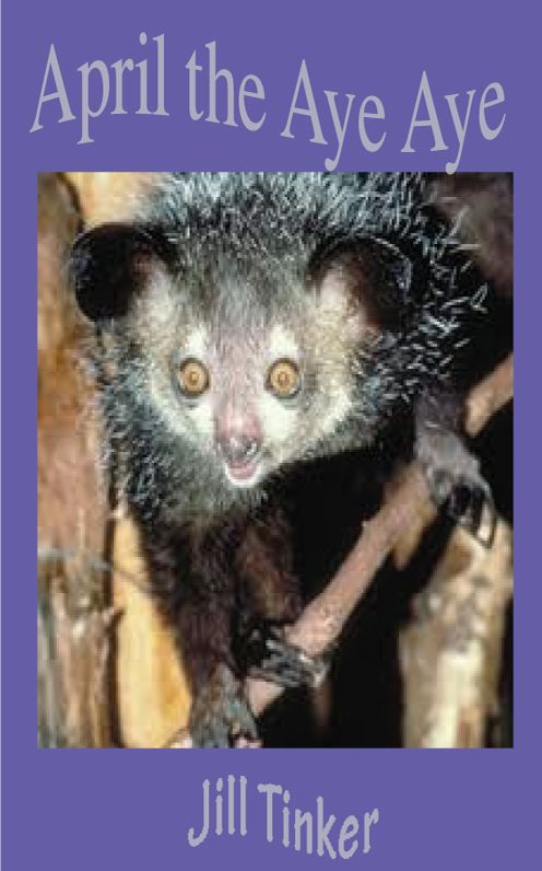 April the Aye Aye