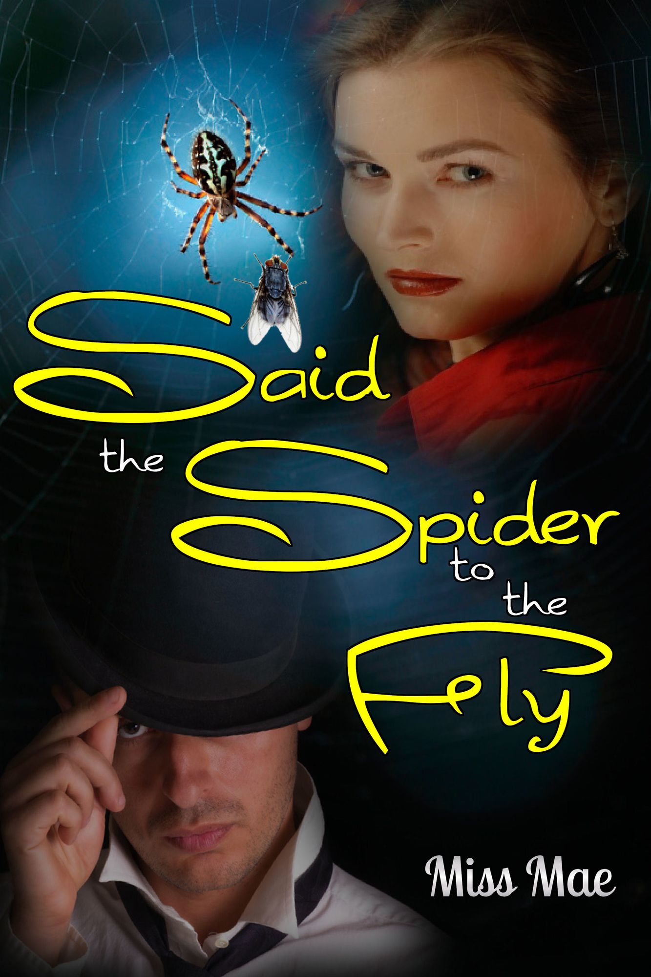 Said the Spider to the Fly