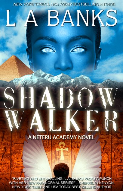 Shadow Walker (Neteru Academy Series #1)